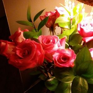 Meet your Posher, Angelica